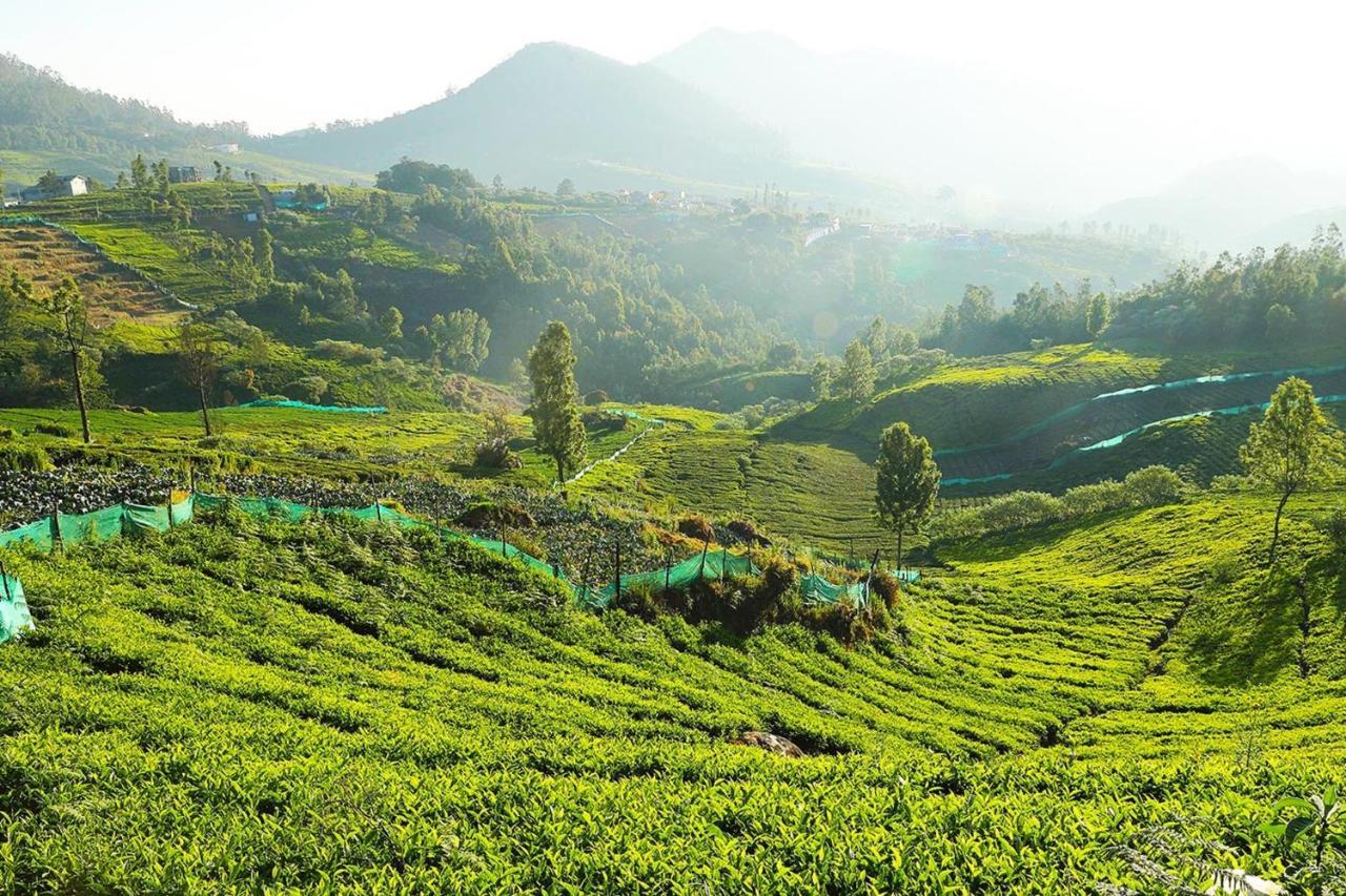 Logan Camp Ooty Hotel Coonoor Eksteriør billede